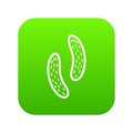 Epithelial cell icon digital green
