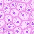 Epithelial seamless pattern