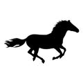 The black horse silhouette on white background Royalty Free Stock Photo