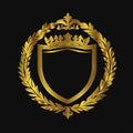 Premium Luxury Baroque Shield Logo Icon â Vintage Ornamental Design for Branding Royalty Free Stock Photo