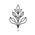 Minimalist Stylized Plant Vector Logo Icon with Leaf Motif Royalty Free Stock Photo