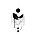 Boho Themed Minimalist Black and White Plant Vector Illustration Royalty Free Stock Photo