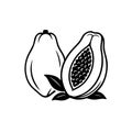 Whole and Halved Papaya Vector Logo Icon for Modern Branding Royalty Free Stock Photo