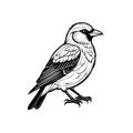 Elegant Bird Silhouette Vector Icon Minimal Style Royalty Free Stock Photo