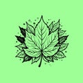 Simple Leaf Vector Icon Minimalist Design Royalty Free Stock Photo
