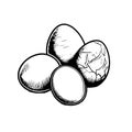 Farm Fresh Eggs Vector Icon Minimal Style Royalty Free Stock Photo