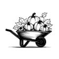 Wheelbarrow Full of Pumpkins Autumn Harvest Vector Royalty Free Stock Photo