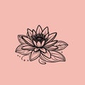 Symmetrical Lotus Flower Vector Artwork for Spa Branding and Meditation Royalty Free Stock Photo