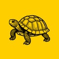 Eco Friendly Tortoise Vector Minimal Illustration Royalty Free Stock Photo