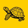 Decorative Tortoise Vector Graphic Illustration Royalty Free Stock Photo