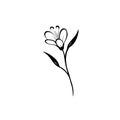 Small Flowers Vector Black And White Floral Illustration Royalty Free Stock Photo