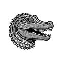 Fierce Crocodile Head Graphic Sports Logo Design Royalty Free Stock Photo