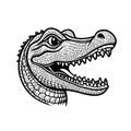 Alligator Head Line Art Vector Detailed Black And White Illustration Royalty Free Stock Photo