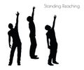 EPS 10 vector illustration of a man in Standing Reaching pose on white background