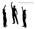 EPS 10 vector illustration of a man in Standing Reaching pose on white background