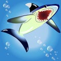 EPS10 vector illustration. shark