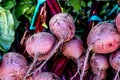 Pile Or Stack Of Fresh Raw Uncooked Beetroot Royalty Free Stock Photo