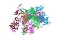 Epstein-Barr virus, C5 penton vertex, CATC absent. Ribbons diagram with multi-colored protein chains. 3d illustration Royalty Free Stock Photo