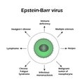 Epstein-Barr virus. Diseases caused by a virus. Infographics. Vector illustration Royalty Free Stock Photo