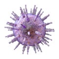 Epstein-Barr virus illustration