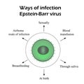 Epstein-Barr virus. Methods of infection. Infographics. Vector illustration