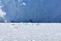 Eqi Glacier in Greenland