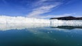 The Eqi glacier in Greenland