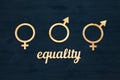 EQUALITY word carved out of plywood. Symbol of gender equality. Black wooden background