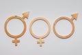 EQUALITY word carved out of plywood. Symbol of gender equality. White background. Symbol of Man and woman