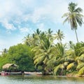 Equatorial forest and boats on lake Royalty Free Stock Photo