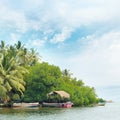 Equatorial forest and boats Royalty Free Stock Photo