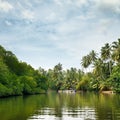 Equatorial forest and boats Royalty Free Stock Photo