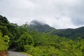 The equatorial forest, Mahe, Seychelles Royalty Free Stock Photo