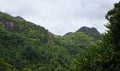 The equatorial forest, Mahe, Seychelles Royalty Free Stock Photo