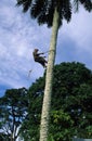 Equatorial Guinea