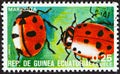 EQUATORIAL GUINEA - CIRCA 1978: A stamp printed in Equatorial Guinea from the `Insects` issue shows Coccinellidae, circa 1978.