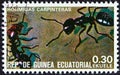 EQUATORIAL GUINEA - CIRCA 1978: A stamp printed in Equatorial Guinea from the `Insects` issue shows Formicidae, circa 1978. Royalty Free Stock Photo