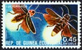 EQUATORIAL GUINEA - CIRCA 1978: A stamp printed in Equatorial Guinea from the `Insects` issue shows Lampyridae, circa 1978. Royalty Free Stock Photo
