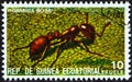 EQUATORIAL GUINEA - CIRCA 1978: A stamp printed in Equatorial Guinea from the `Insects` issue shows Solenopsis, circa 1978. Royalty Free Stock Photo