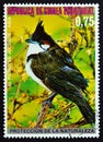 EQUATORIAL GUINEA - CIRCA 1976: A stamp printed in Equatorial Guinea shows Red-whiskered bulbul Pycnonotus jocosus, circa 1976.