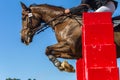 Jumping Horse Rider Closeup Action Royalty Free Stock Photo