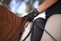 Equestrian, bridle and hands closeup on horse for riding adventure and journey in countryside. Ranch, animal and rider Royalty Free Stock Photo