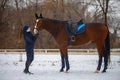 Equestrian country girl and her bay horse are in winter Royalty Free Stock Photo