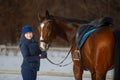 Equestrian country girl and her bay horse are in winter Royalty Free Stock Photo