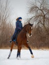 Equestrian country girl riding her bay horse in winter Royalty Free Stock Photo