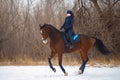 Equestrian country girl riding her bay horse in winter Royalty Free Stock Photo