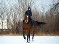 Equestrian country girl riding her bay horse in winter Royalty Free Stock Photo