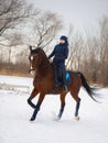 Equestrian country girl riding her bay horse in winter Royalty Free Stock Photo