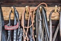 Equestrian equipment