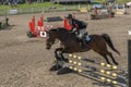 Equestrian event - jumper